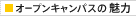 I[vLpX̖