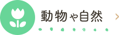 ⎩R