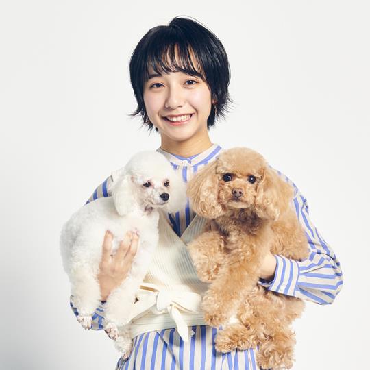 大学 短大 留学機関 専門学校 各種学校 スクールの一覧 全国 全都道府県 キャリタス進学