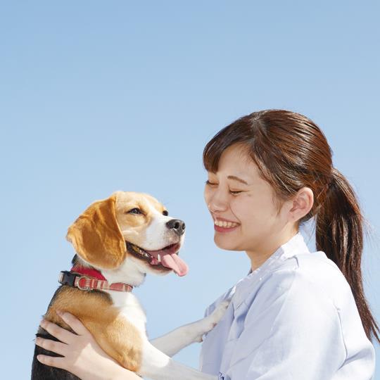 大学 短大 留学機関 専門学校 各種学校 スクールの一覧 全国 全都道府県 キャリタス進学