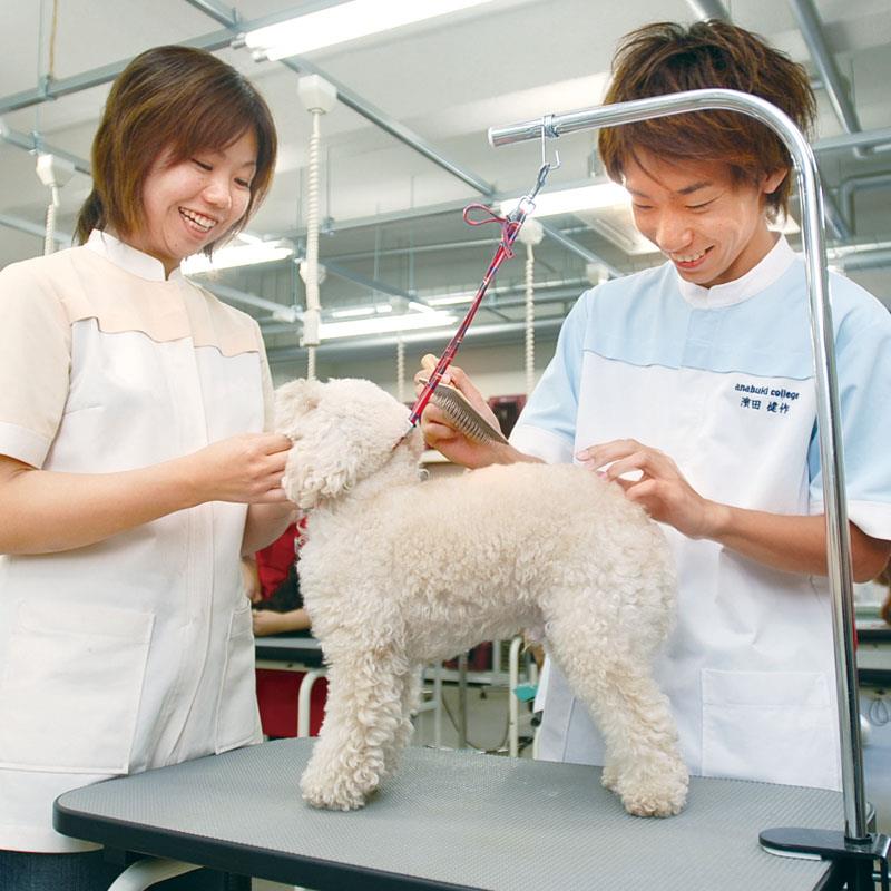 大学 短大 留学機関 専門学校 各種学校 スクールの一覧 全国 全都道府県 キャリタス進学