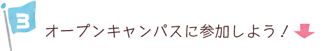 I[vLpXɎQ悤I
